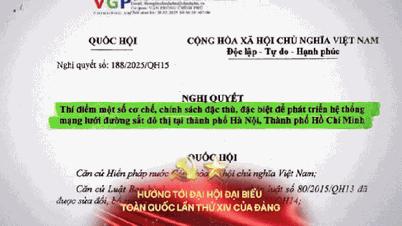 Ho Chi Minh City commences construction of Metro Line 2, creating momentum for the development of modern urban transportation.