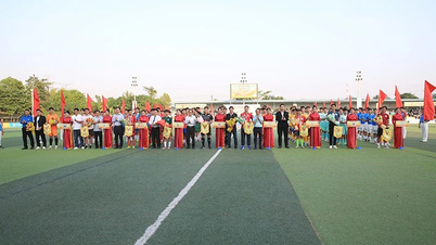 דונג ת'אפ: סיבוב מוקדמות טורניר כדורגל לנוער וסטודנטים של וייטנאם - אזור דרום-מערב