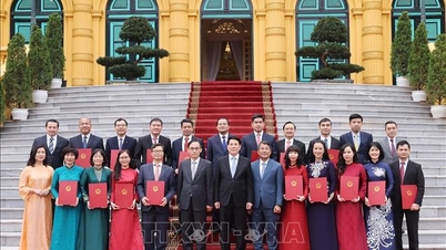 Chủ tịch nước Lương Cường trao quyết định bổ nhiệm Đại sứ Việt Nam tại nước ngoài