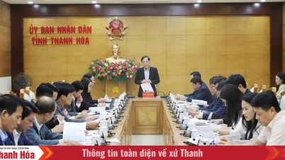 Criando uma base sólida para o turismo em Thanh Hoa nesta nova fase.