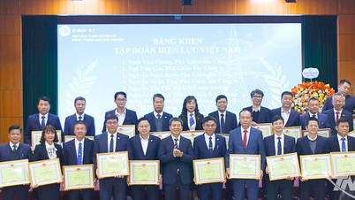 Thai Nguyen Power Company przekroczyła wiele celów na rok 2025.