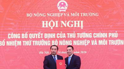 Sayın Dang Ngoc Diep, Tarım ve Çevre Bakan Yardımcılığı görevini yürütmektedir.