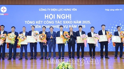 Hung Yen Power Company: Umsetzung der Produktions- und Geschäftsaufgaben für 2026
