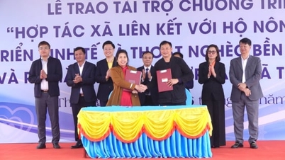 មូលនិធិសប្បុរសធម៌នេះ ចូលរួមជាមួយសហករណ៍កសិកម្ម ក្នុងការអភិវឌ្ឍសេដ្ឋកិច្ច និងសម្រេចបាននូវការកាត់បន្ថយភាពក្រីក្រប្រកបដោយចីរភាព។