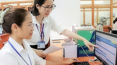 Công bố Nghị định của Chính phủ quy định chế độ quản lý ngân quỹ nhà nước tiếp tục có hiệu lực