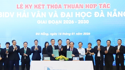 شعبه BIDV Hai Van با 5 میلیارد دونگ ویتنامی برای دوره 2026-2030 از دانشگاه دانانگ حمایت مالی می‌کند.