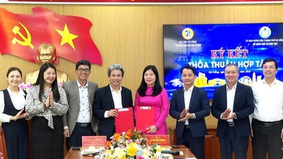 Utdanningsdepartementet og Da Nang University of Education samarbeider for å heve kvalifikasjonsstandardene for lærere.