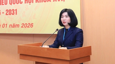 Memperkenalkan Pengerusi Majlis Rakyat Hanoi sebagai calon untuk Dewan Undangan Negeri ke-16.
