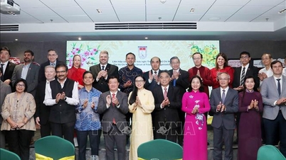 A friendly gathering to commemorate the 75th anniversary of the Traditional Day of People-to-People Diplomacy.