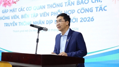 Ho Chi Minh City University of Law spends half a billion VND to attract professors.