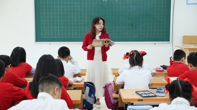 Nouvelle proposition concernant le versement des salaires et des indemnités aux enseignants enseignant dans plusieurs écoles et à différents niveaux scolaires.