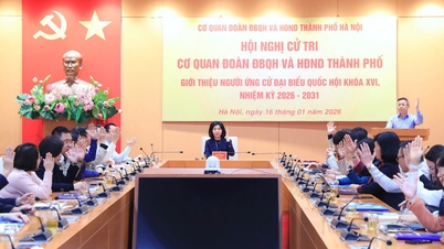 Pengerusi Majlis Rakyat Bandar Hanoi, Phung Thi Hong Ha telah dicalonkan sebagai calon untuk Dewan Undangan Negeri.