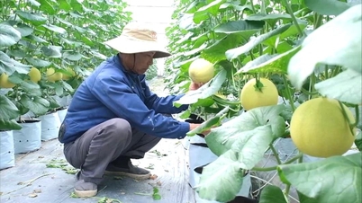 ការអនុវត្តបច្ចេកវិទ្យាអ៊ីស្រាអែលក្នុងផលិតកម្មកសិកម្ម។