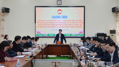 គណៈកម្មាធិការអចិន្ត្រៃយ៍នៃគណៈកម្មាធិការរណសិរ្សមាតុភូមិវៀតណាមខេត្តបានធ្វើការជាមួយធនាគារគោលនយោបាយសង្គមខេត្ត និងអង្គការនយោបាយ និងសង្គមដែលបានប្រគល់ភារកិច្ច។