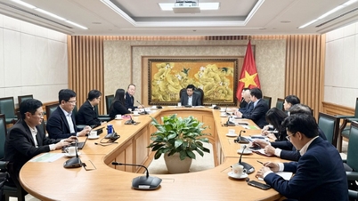 Promoting cooperation in the fields of science and technology, innovation, and digital transformation.