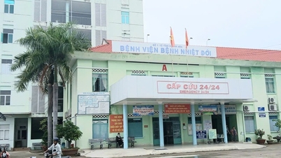 Quase 800 pessoas foram submetidas a testes para detecção de vermes parasitas na província de Khanh Hoa durante as duas primeiras semanas do ano.
