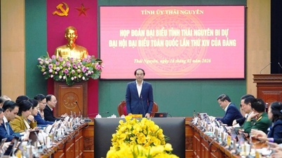 タイグエン代表団は党の第14回全国大会に出席する準備ができている。
