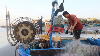 Tepung ikan Vietnam semakin hampir mendapat pensijilan "label hijau" antarabangsa hasil daripada model perkongsian awam-swasta.