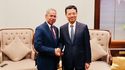 Việt Nam sẵn sàng chia sẻ kinh nghiệm viễn thông, chuyển đổi số, AI với Timor-Leste
