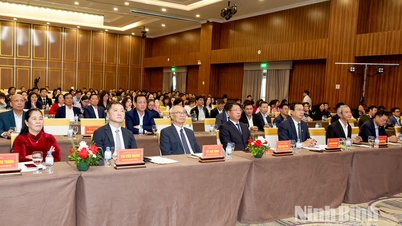 Ninh Binh کا سیاحتی شعبہ 2026 کے لیے کاموں کو نافذ کرتا ہے۔