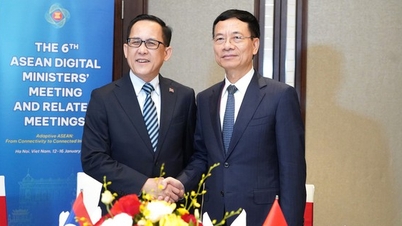Vietnam - Laos: Dijital dönüşümde iş birliğini güçlendirme, uygulama örneklerini etkinlik ölçütü olarak kullanma.