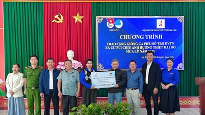 สมาคมผู้ประกอบการรุ่นใหม่ประจำจังหวัดได้บริจาคเงินกว่า 130 ล้านดองเวียดนามให้แก่โครงการสวัสดิการสังคมในตำบลหยางเหมาและตำบลคูปุย