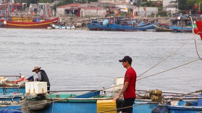 Nelayan "menjadualkan" perjalanan memancing pertama mereka pada tahun baharu untuk bersedia bagi hari pilihan raya.