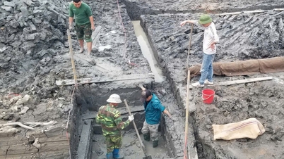 Phát hiện bãi cọc gỗ trong khu di tích đền Kiếp Bạc