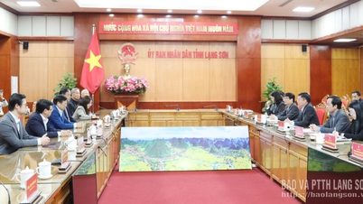 Leaders of the Provincial People's Committee held a working meeting with the delegation from Gia Dinh Group Joint Stock Company.