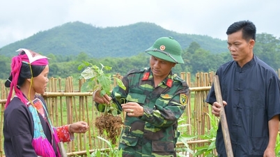 Implement the nationwide education and propaganda project on the Army's participation in labor and production.