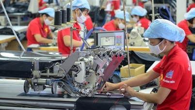 La ola de crecimiento se está extendiendo a todos los sectores industriales.