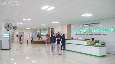 Lao Cai Provincial General Hospital No. 2 has put its Vaccination Service Room into operation.