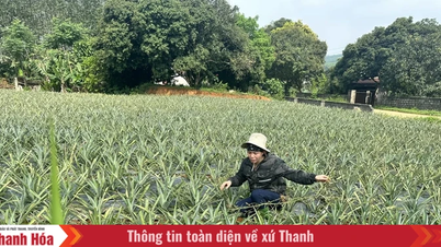 Criar oportunidades para que os agricultores prosperem e enriqueçam.