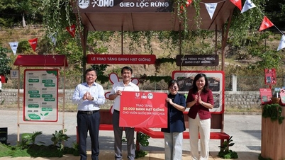 Im Rahmen ihrer Initiative „Für ein grünes Vietnam“ spendet OMO 20.000 Saatkugeln an den Nui Chua Nationalpark.