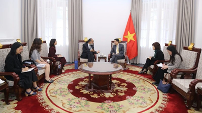 Timbalan Setiausaha Agung PBB sangat menghargai usaha Vietnam dalam inovasi dan transformasi digital.