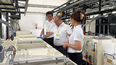 Hanoi aspira a contar con aproximadamente 1.040 empresas industriales de apoyo.