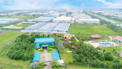 Der Tay Ninh Provincial Development Investment Fund bietet finanzielle Unterstützung für Investitionsprojekte in der Provinz.