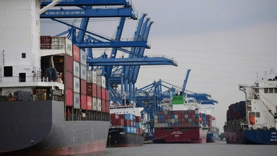 Doanh nghiệp hóa chất 'mắc kẹt': Sở Công thương TP.HCM rất muốn hỗ trợ nhưng không được
