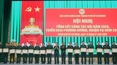 L'Association des anciens combattants de Hô Chi Minh-Ville a mené de nombreuses activités qui témoignent d'une forte camaraderie et d'une grande solidarité.