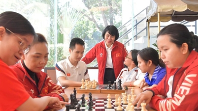 The Vietnamese delegation is creating the best possible conditions for its athletes to prepare for the 13th ASEAN Para Games.