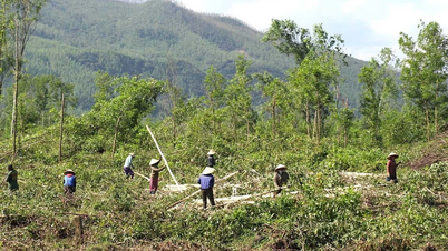 Dự án mở rộng Khu công nghiệp Nhơn Hòa giai đoạn 2: Nhanh chóng giải phóng mặt bằng