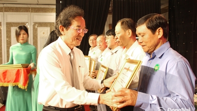 الترويج بشكل استباقي لصورة دونغ ناي لدى المجتمع الدولي.