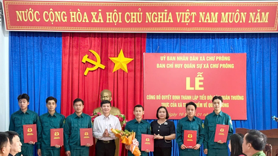 Ra mắt Tiểu đội dân quân thường trực xã Chư Prông