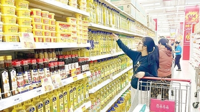 Πολλαπλές λύσεις για τον έλεγχο του πληθωρισμού το 2026