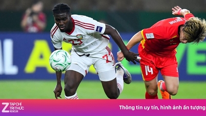 Les supporters des Émirats arabes unis blâment l'arbitre après leur défaite face au Vietnam U23.