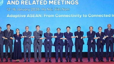 Combating online fraud – a consistent priority in the Hanoi Declaration.