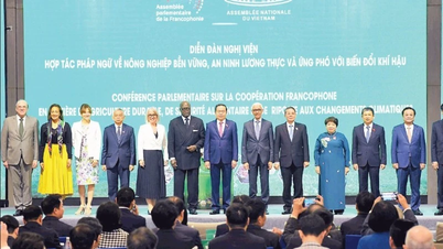 国家進歩の時代における議会外交政策。