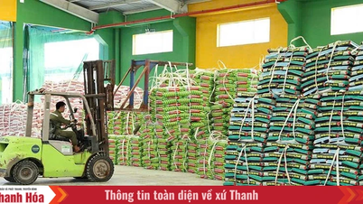 As empresas superam as dificuldades e estabilizam a produção.
