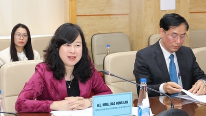 Minister Dao Hong Lan tog emot chefen för Internationella organisationens delegation för migration i Vietnam och representanter från den japanska ambassaden.