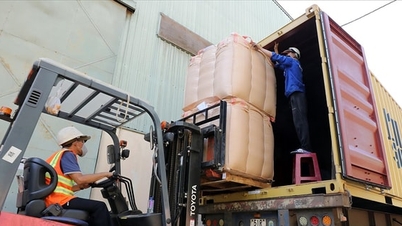 Η βιομηχανία καφέ στοχεύει σε εξαγωγές ύψους 10 δισεκατομμυρίων δολαρίων.